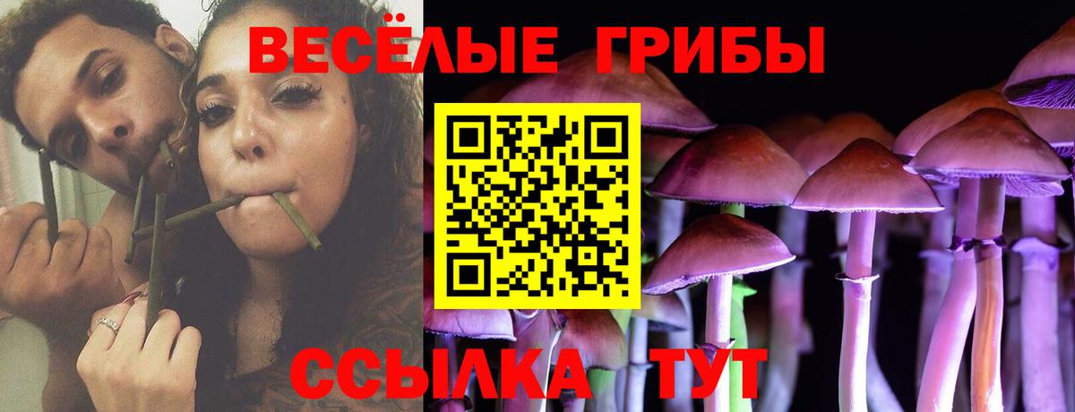 Псилоцибиновые грибы прущие грибы  Галлюциногенные грибы Cubensis  Вход с VPN  Ярославль 
